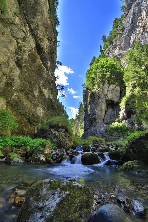 Alpenhotel La Montanara Rocca Pietore Zewnętrze zdjęcie